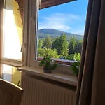 Viola Apartment