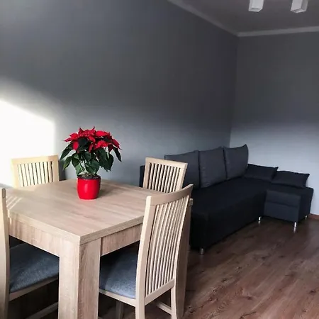 Viola * Sklářská Poruba