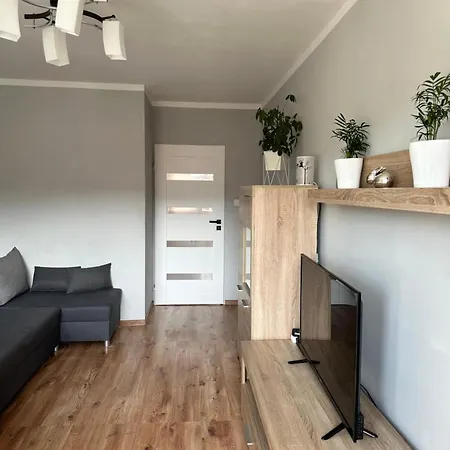 Viola * Sklářská Poruba