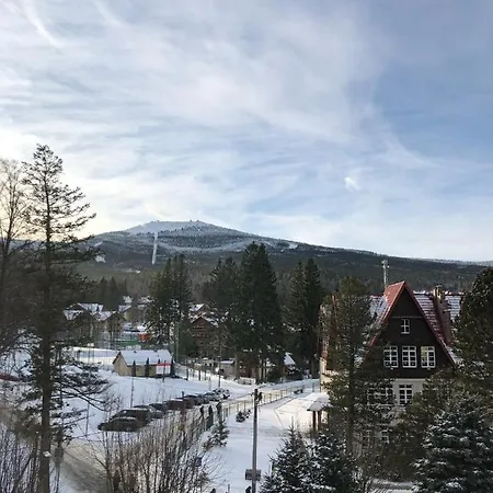 Viola * Sklářská Poruba