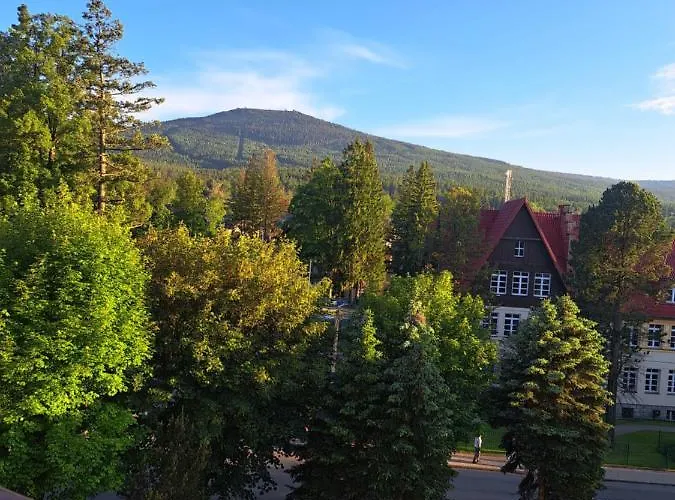 Viola * Szklarska Poręba