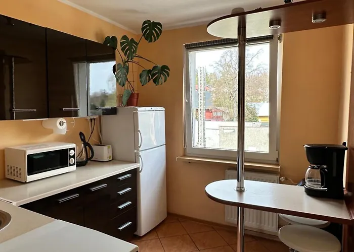 Viola Apartament *