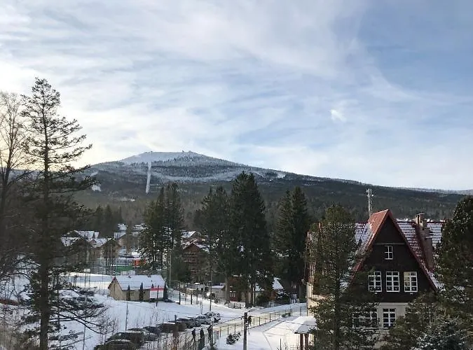 Viola * Szklarska Poreba